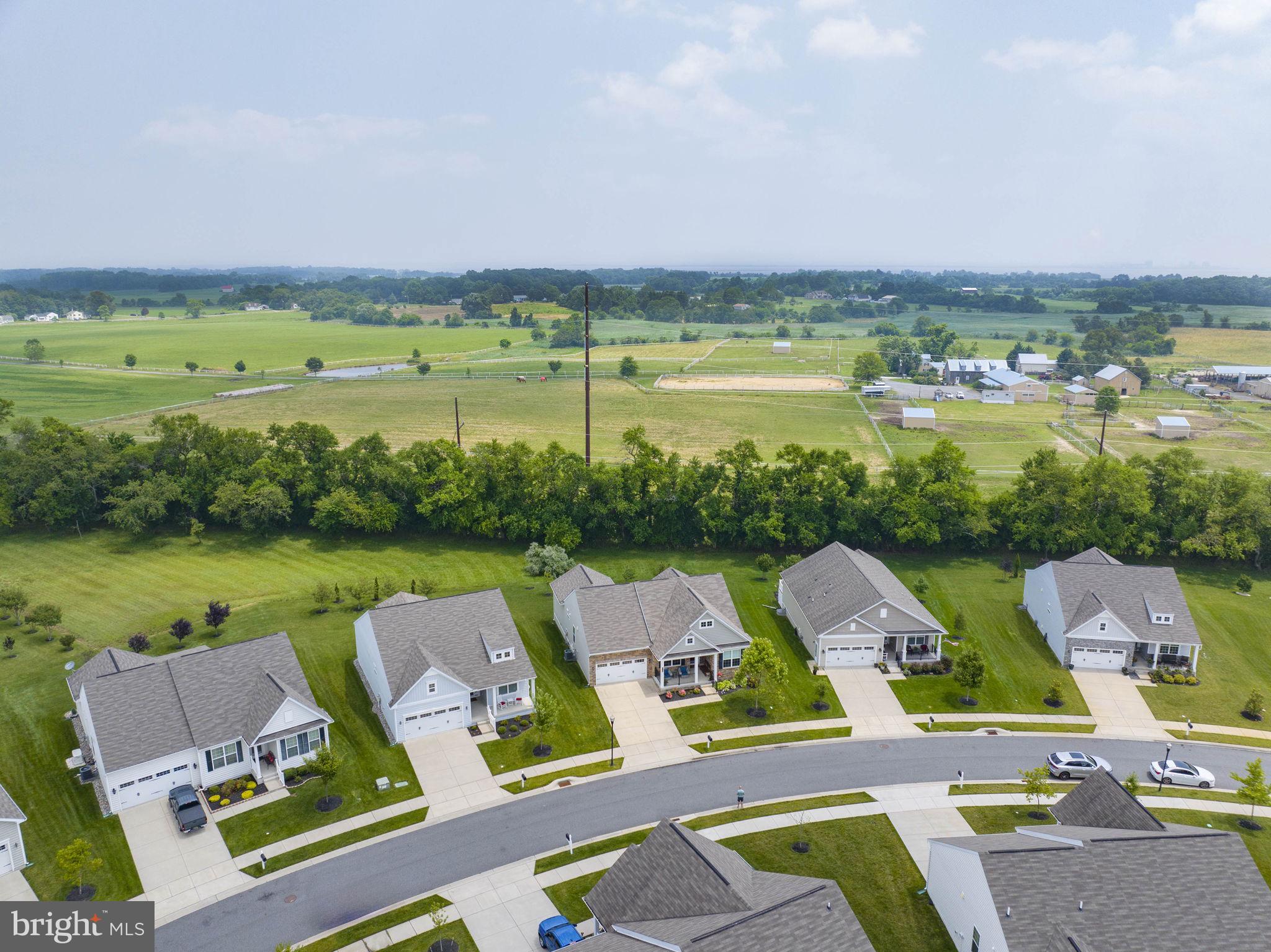 954 River Birch Circle Middletown, DE 19709 - Photo 58 of 58 Neighborhood