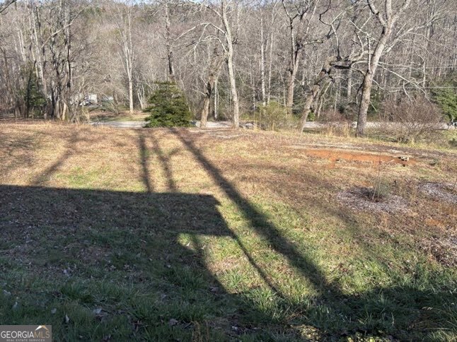 22 Old Bullen Gap Road Blue Ridge, GA 30513 - Photo 12 of 16 a view of dirt yard with a large tree