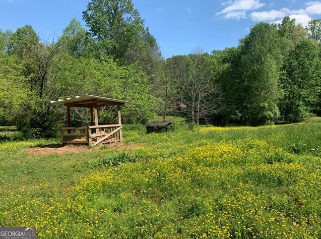 22 Old Bullen Gap Road Blue Ridge, GA 30513 - Photo 3 of 16 a view of a garden with a bench