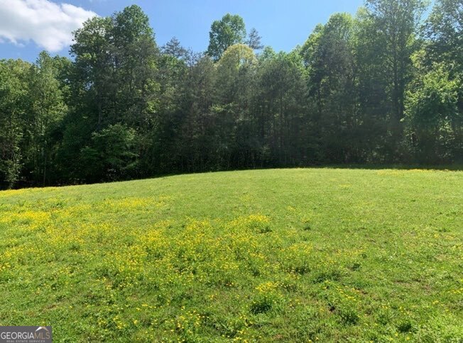 22 Old Bullen Gap Road Blue Ridge, GA 30513 - Photo 4 of 16 a view of patio with swimming pool