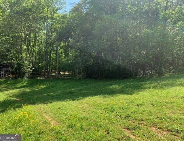 22 Old Bullen Gap Road Blue Ridge, GA 30513 - Photo 5 of 16 a view of yard with green space