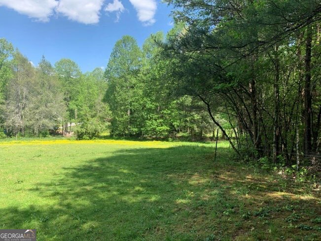 22 Old Bullen Gap Road Blue Ridge, GA 30513 - Photo 6 of 16 a view of a field with an trees
