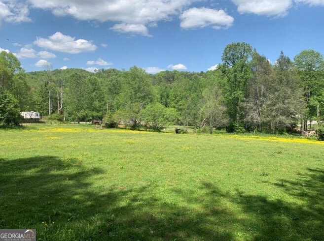 22 Old Bullen Gap Road Blue Ridge, GA 30513 - Photo 7 of 16 a view of a field with trees in the background