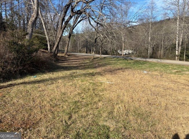 22 Old Bullen Gap Road Blue Ridge, GA 30513 - Photo 8 of 16 a view of outdoor space with yard