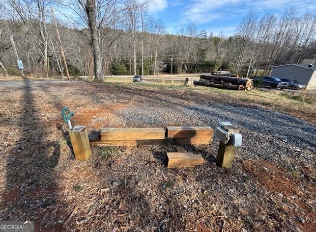 22 Old Bullen Gap Road Blue Ridge, GA 30513 - Photo 10 of 16 a view of a backyard with large trees