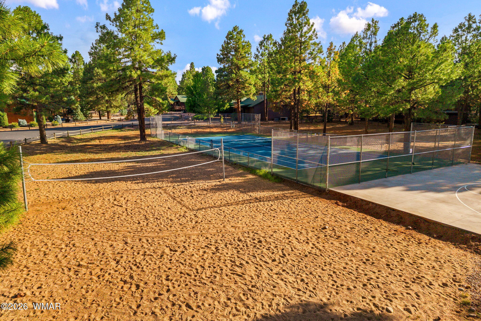 2337 Buffalo Loop Overgaard, AZ 85933 - Photo 38 of 43 a view of yard along with trees