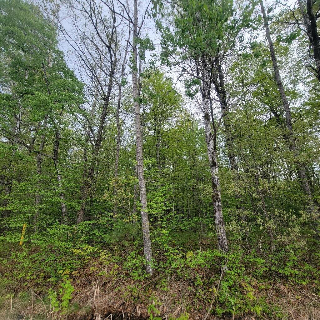 Lot 10 County Road A Spooner, WI 54801 - Photo 6 of 8
