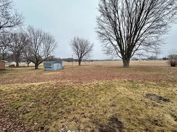 a view of large space with a tree