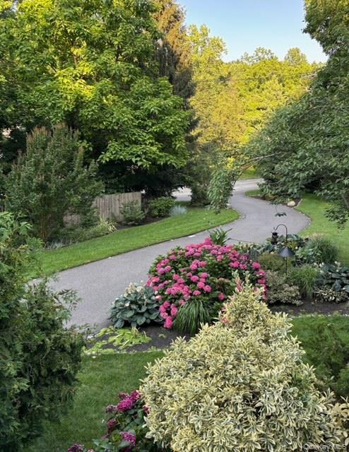 6 Sandy Hollow Road Centerport, NY 11768 - Photo 7 of 41 a view of a garden with large trees