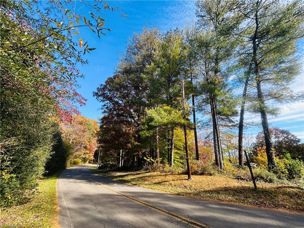 Tbd Old Springs Road Mount Airy, NC 27030 - Photo 15 of 16