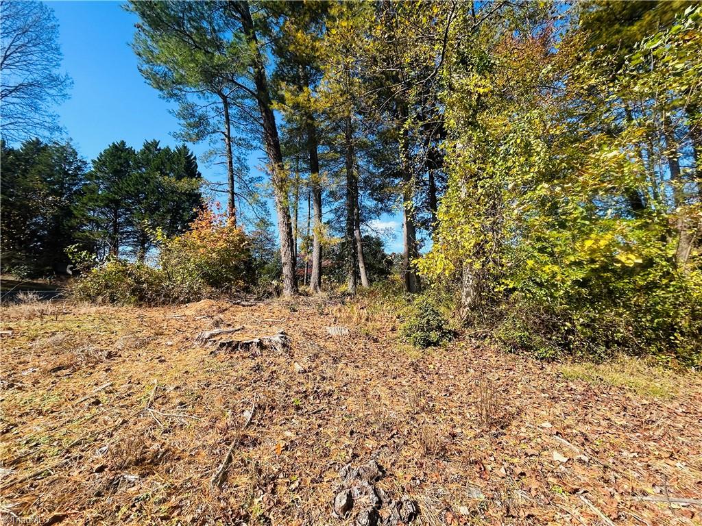 Tbd Old Springs Road Mount Airy, NC 27030 - Photo 4 of 16