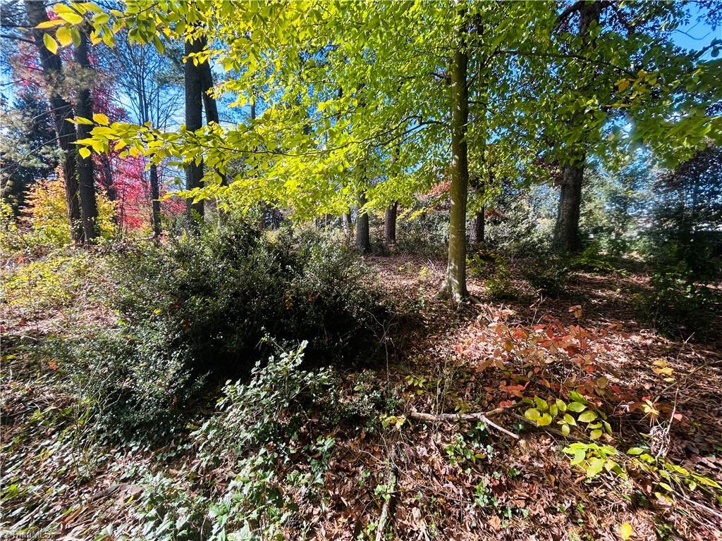 Tbd Old Springs Road Mount Airy, NC 27030 - Photo 8 of 16