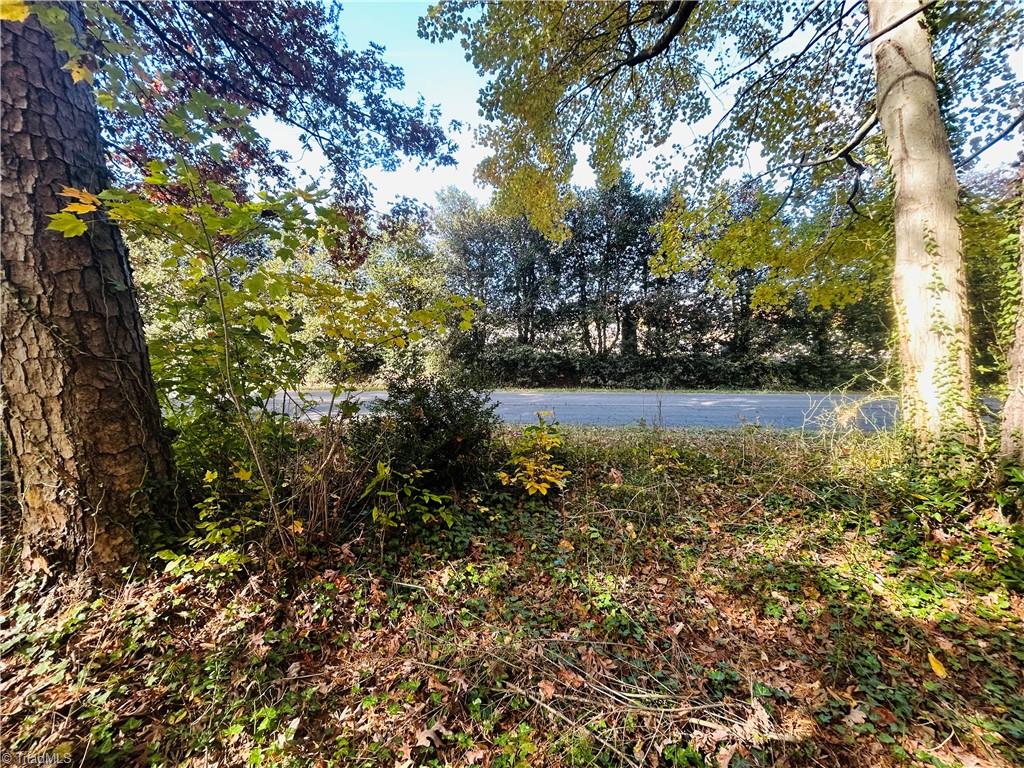 Tbd Old Springs Road Mount Airy, NC 27030 - Photo 9 of 16