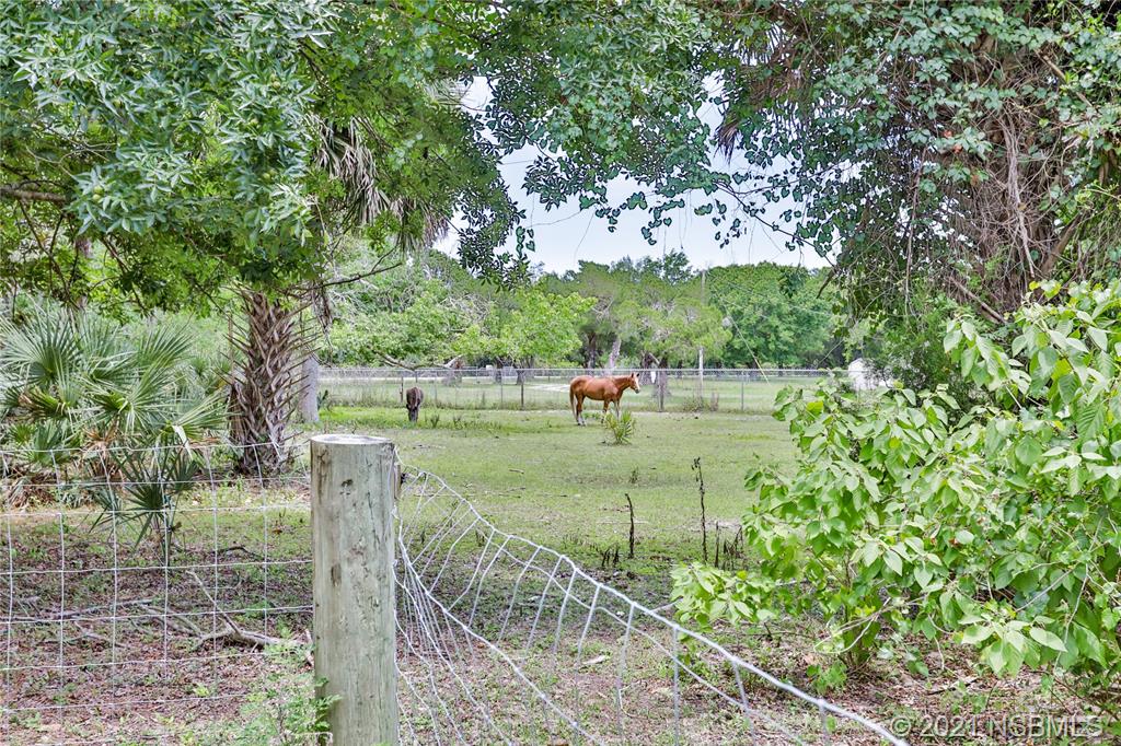 4460 Beacon Light Road Edgewater, FL 32141 - Photo 34 of 49 Gallery Image 34
