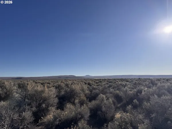 a view of a dry yard with mountains in the background