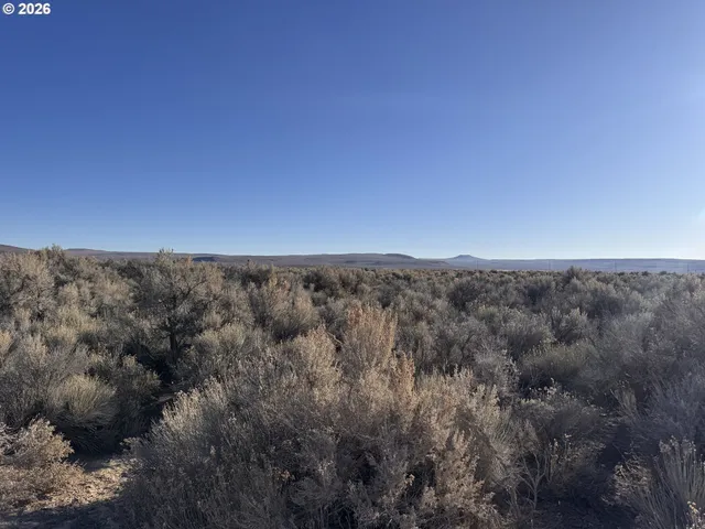 a view of a dry yard with mountains in the background