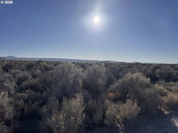 $15,000 | South Fandango Road, Christmas Valley, OR 97641
