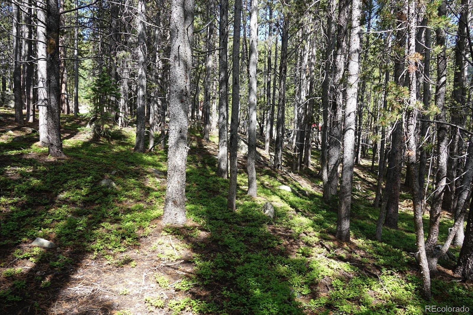 0 Upper Forest Road Idaho Springs, CO 80452 - Photo 15 of 23 Gallery Image 15
