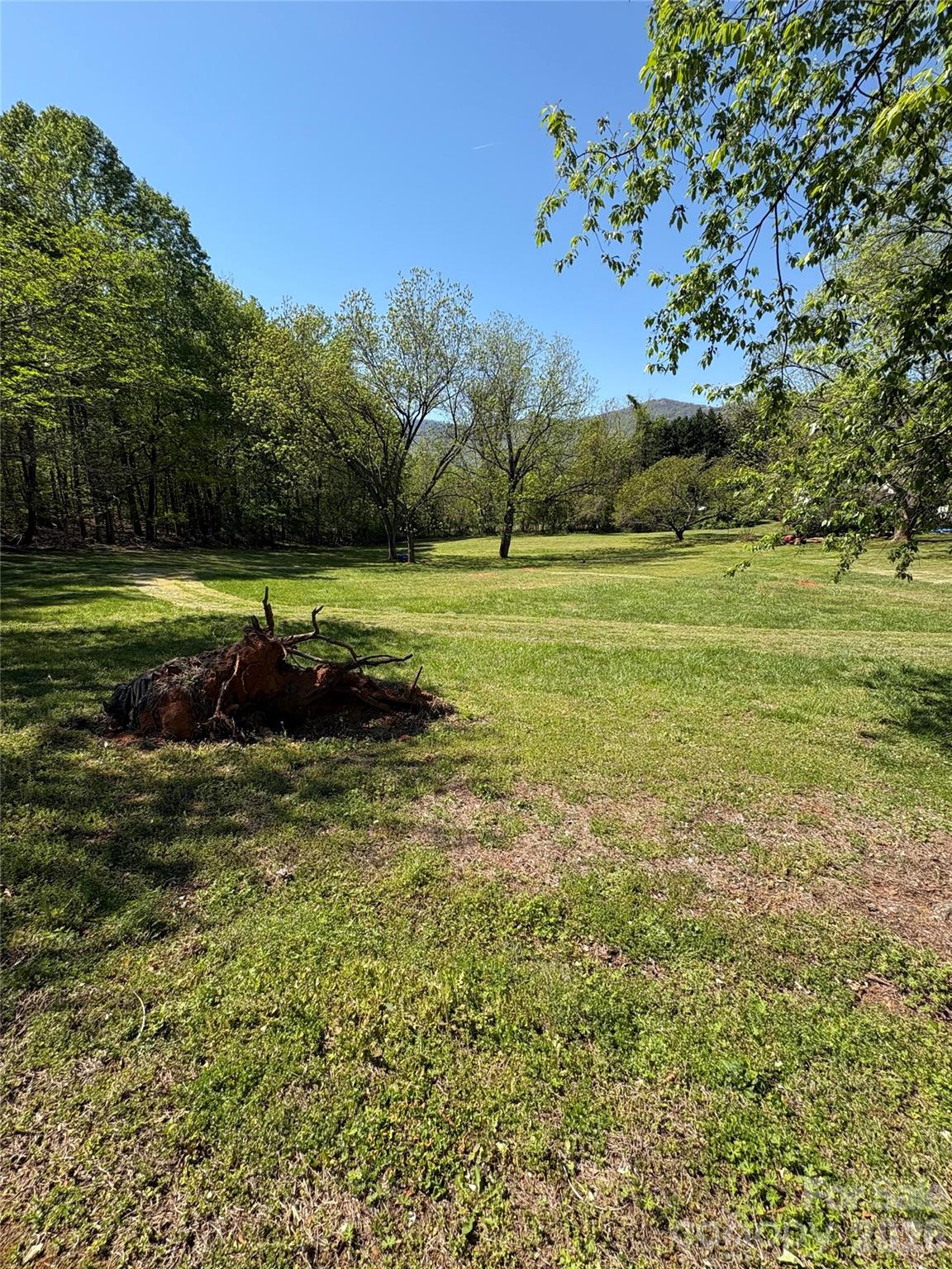 42 Peniel Road Columbus, NC 28722 - Photo 2 of 4