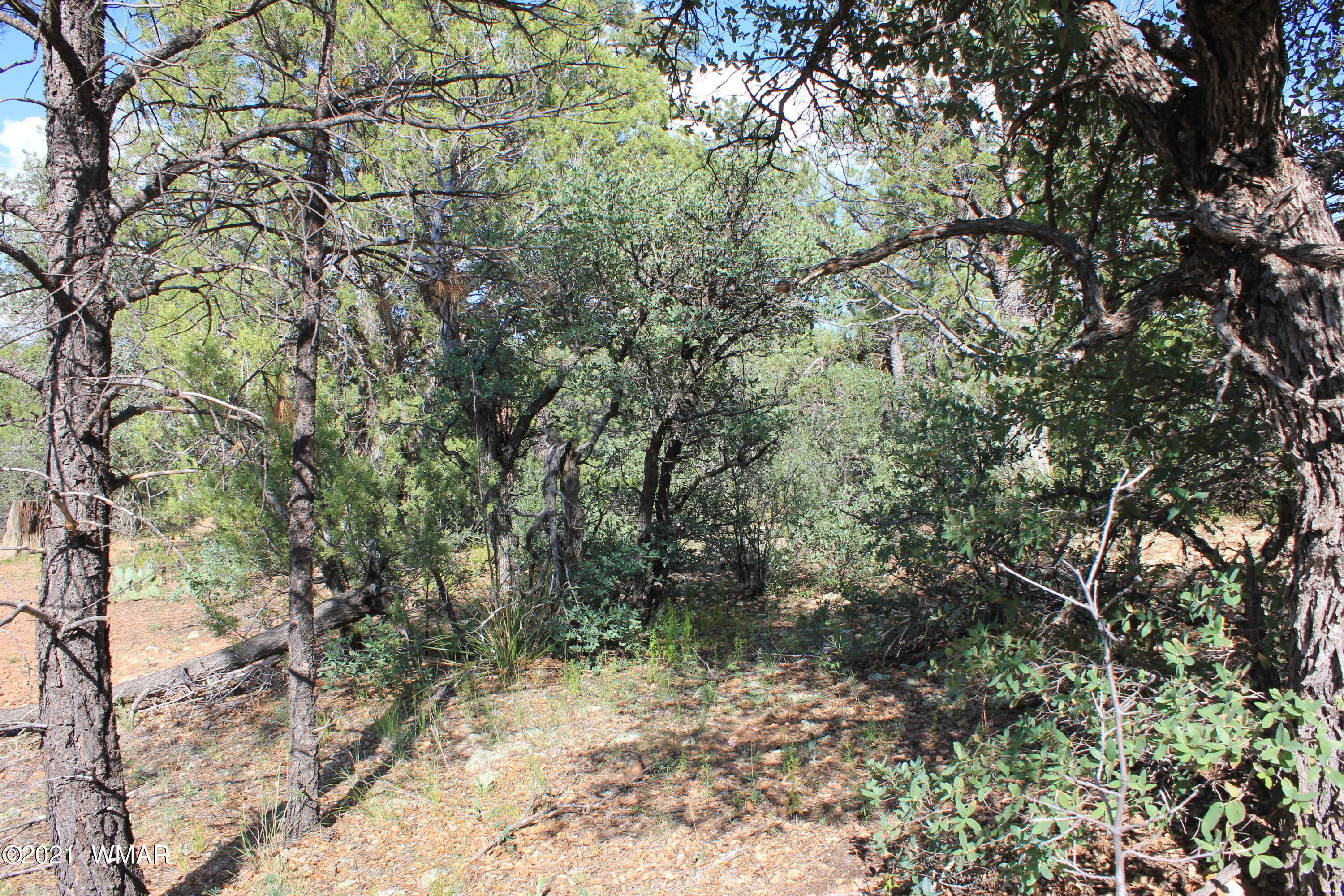 5 B Casper Lane Show Low, AZ 85901 - Photo 2 of 10