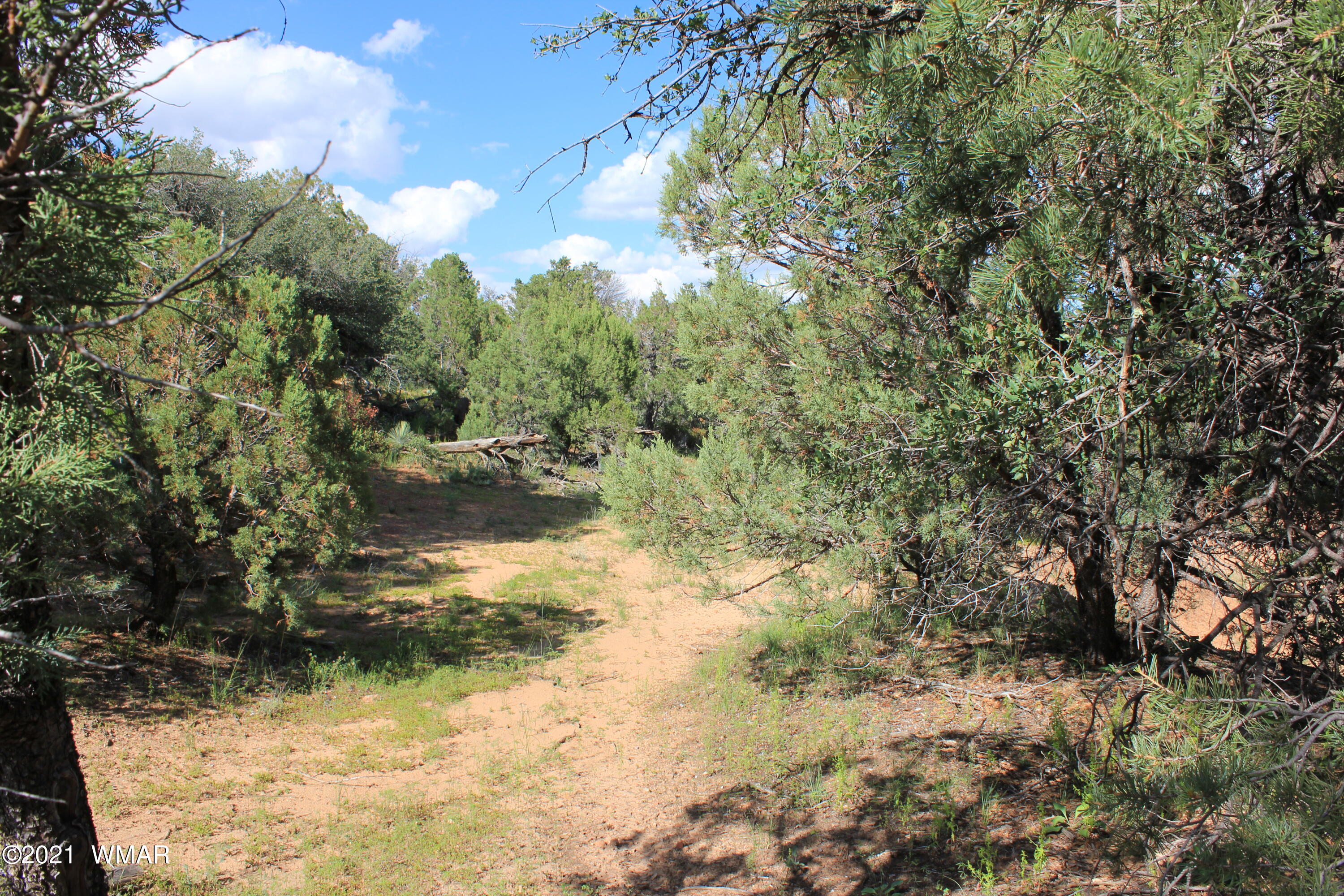 5 B Casper Lane Show Low, AZ 85901 - Photo 4 of 10