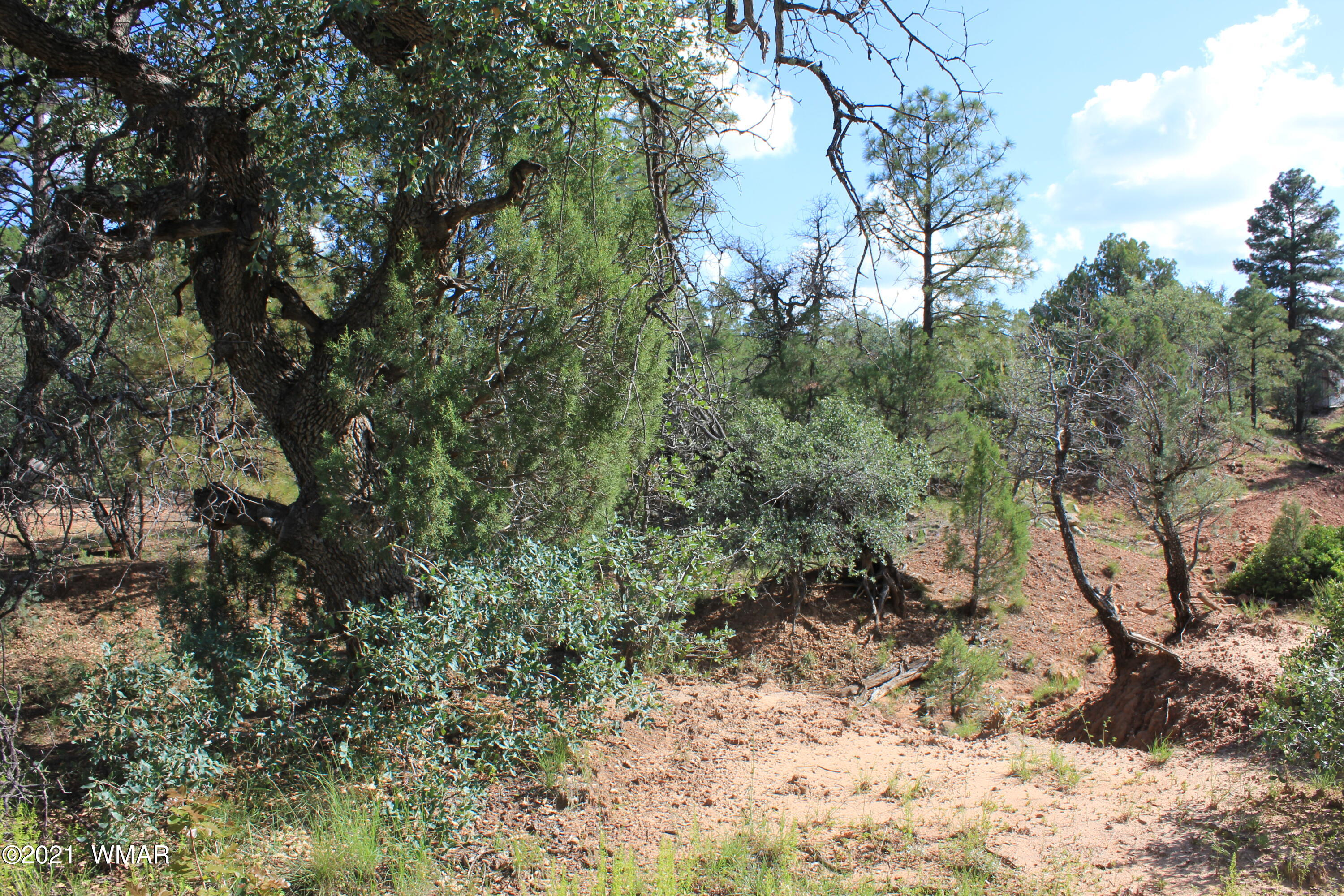 5 B Casper Lane Show Low, AZ 85901 - Photo 5 of 10