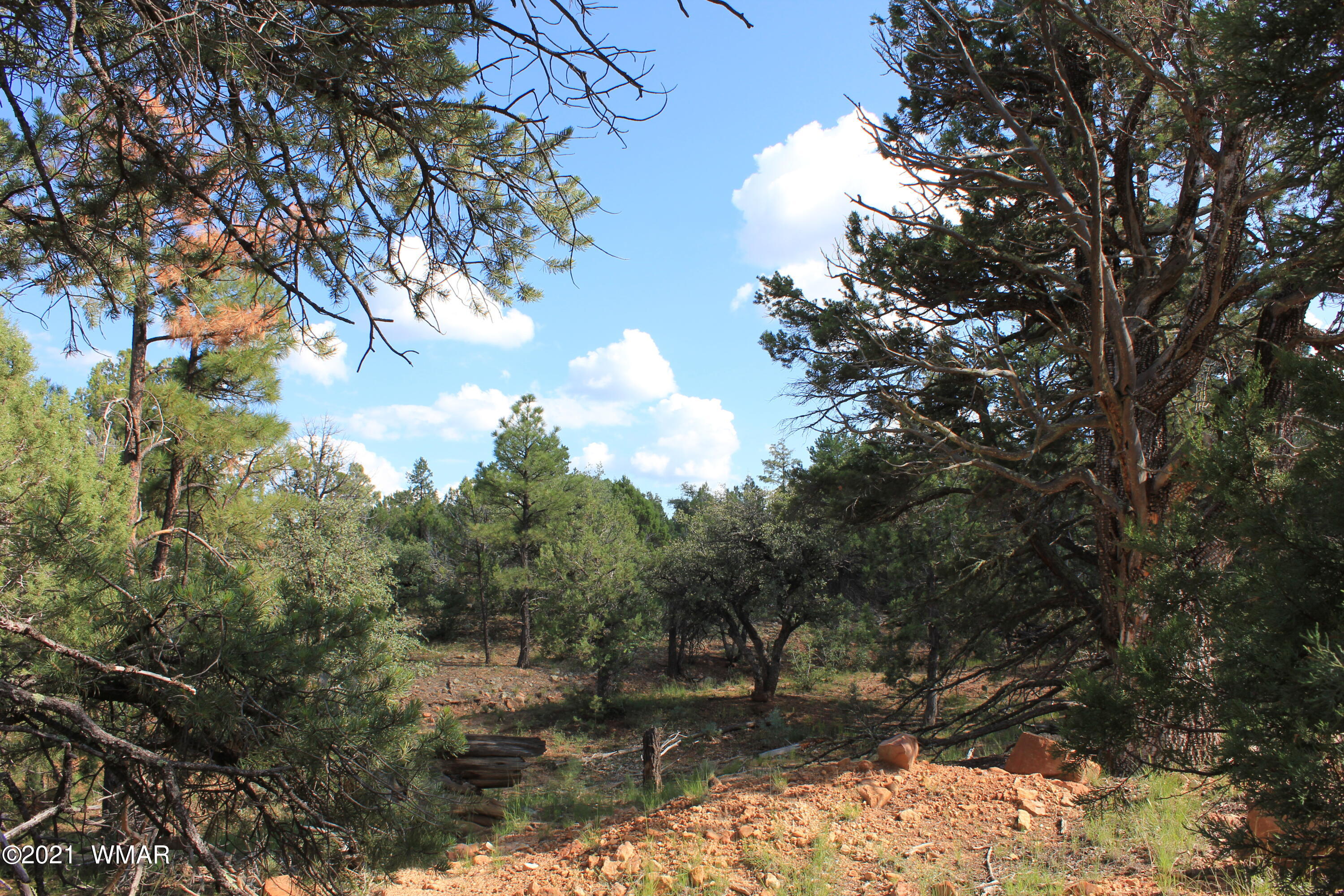 5 B Casper Lane Show Low, AZ 85901 - Photo 6 of 10