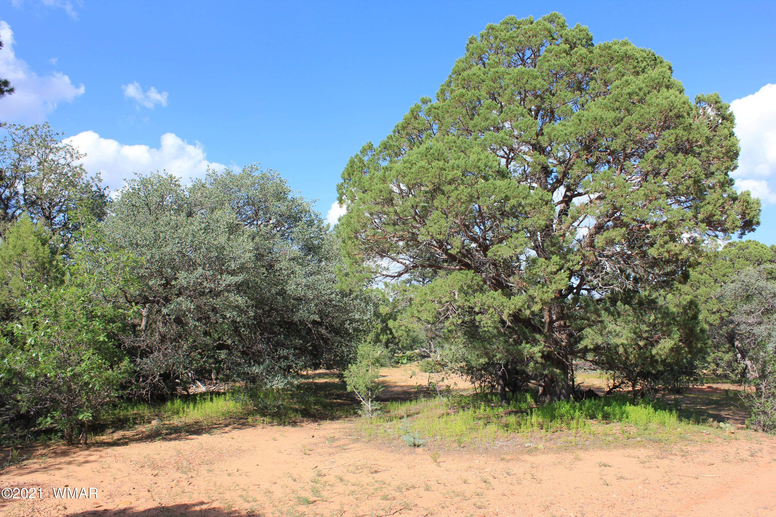 5 B Casper Lane Show Low, AZ 85901 - Photo 7 of 10