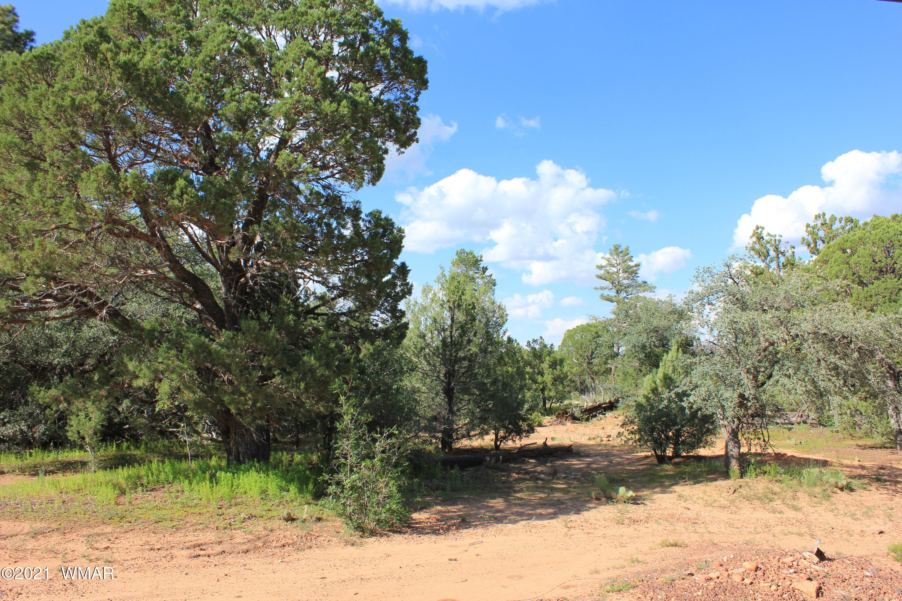 5 B Casper Lane Show Low, AZ 85901 - Photo 8 of 10