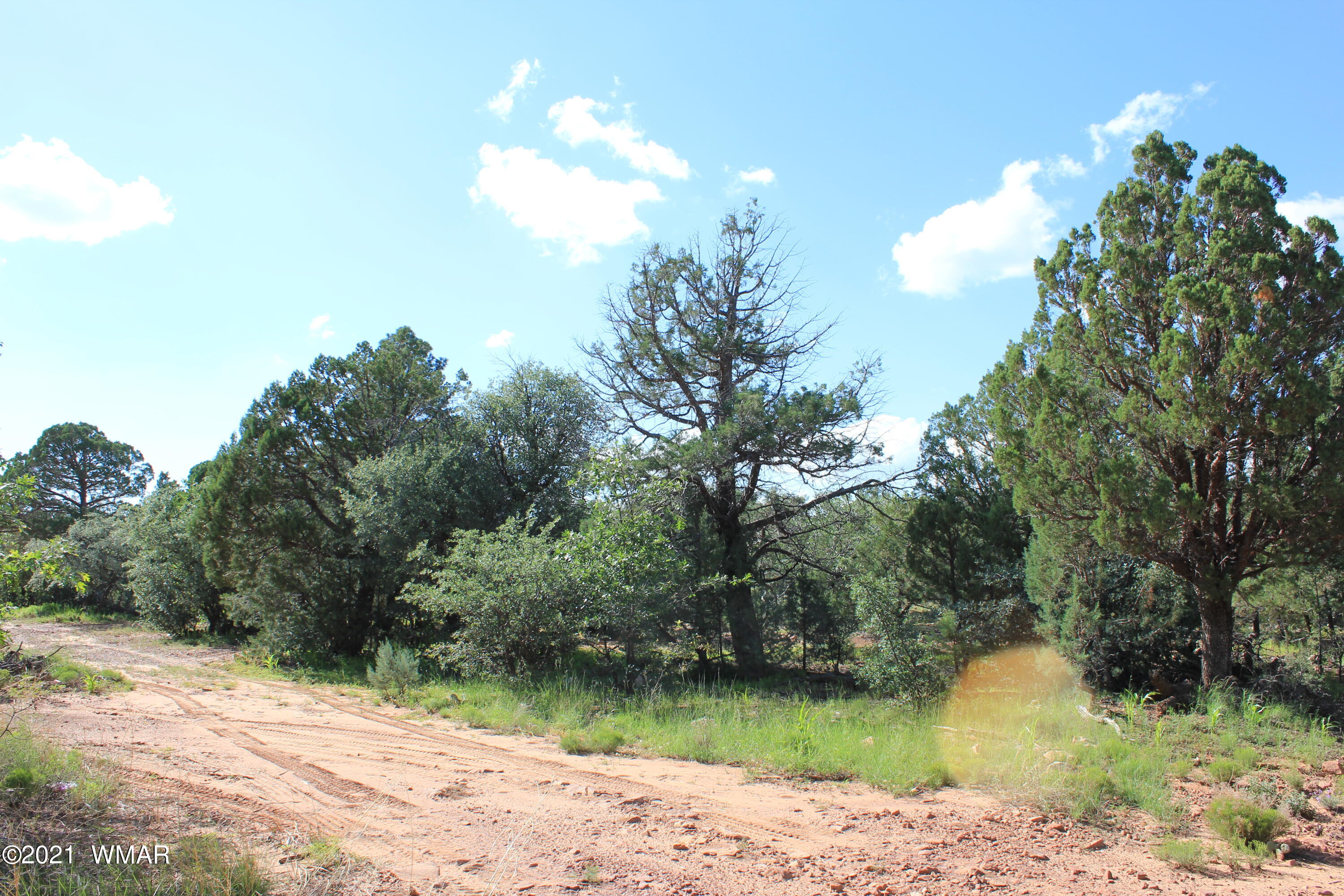 5 B Casper Lane Show Low, AZ 85901 - Photo 10 of 10