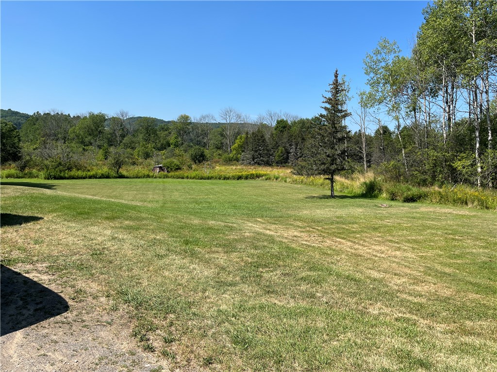 2513 Stannards Road Wellsville, NY 14895 - Photo 40 of 46