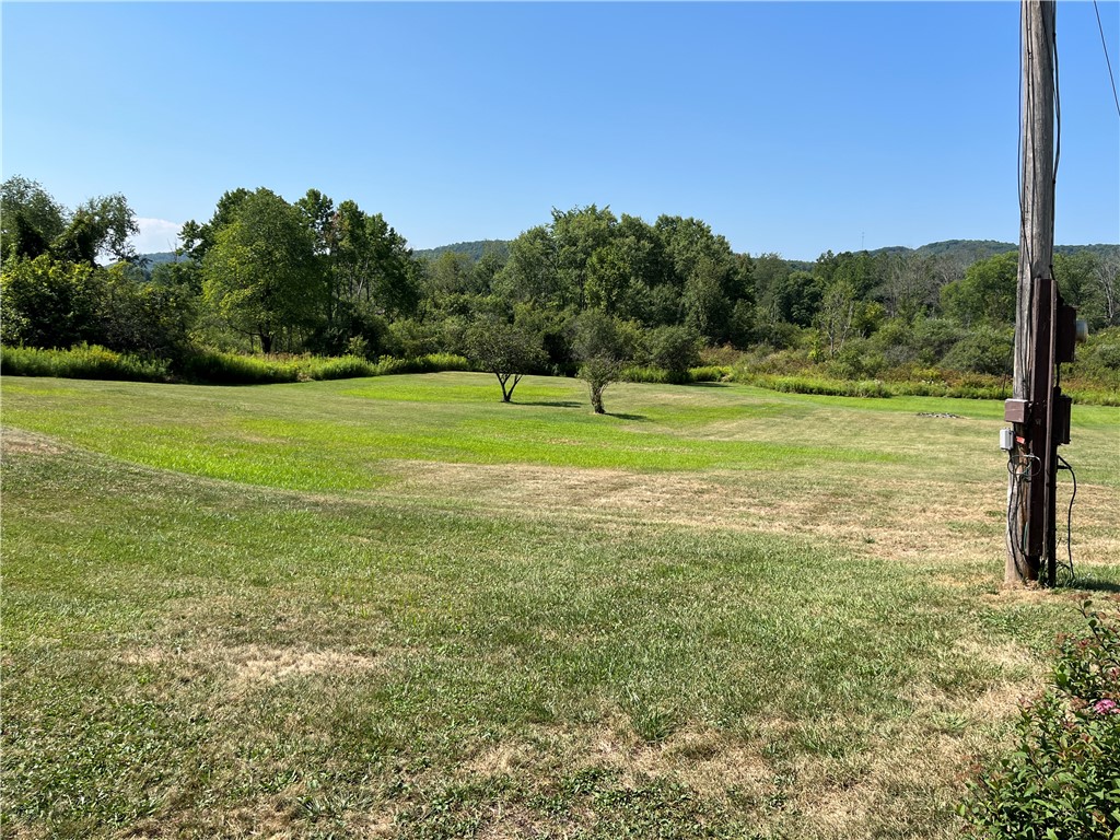 2513 Stannards Road Wellsville, NY 14895 - Photo 44 of 46