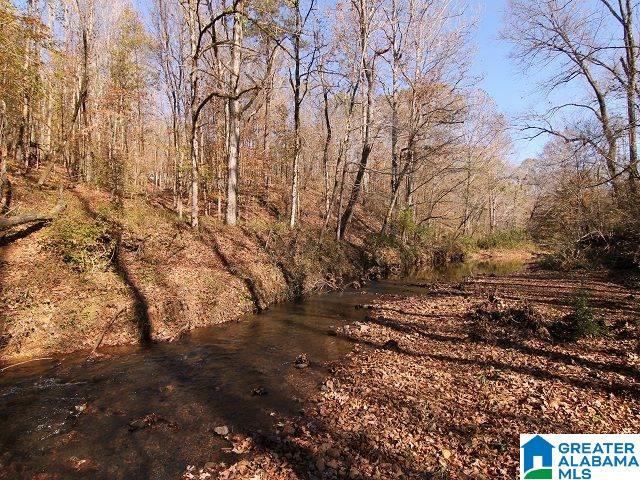 820 County Road, Unit 193 Roanoke, AL 36274 - Photo 2 of 15