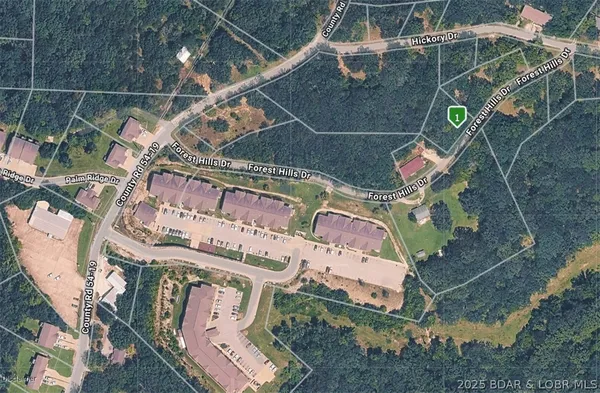 $25,000 | Lot 32 Forrest Hills Dr Lake, Lake Ozark, MO 65049