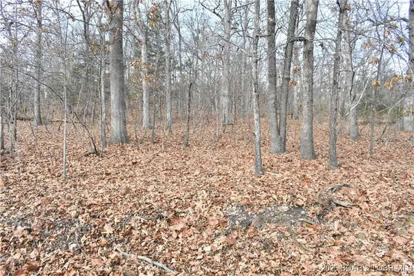 $25,000 | Lot 32 Forrest Hills Dr Lake, Lake Ozark, MO 65049