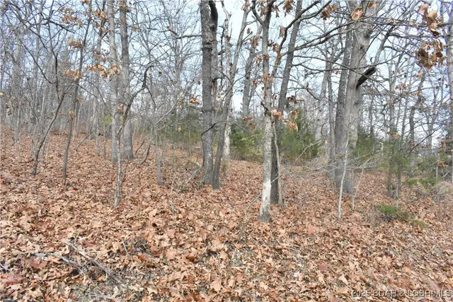$25,000 | Lot 32 Forrest Hills Dr Lake, Lake Ozark, MO 65049