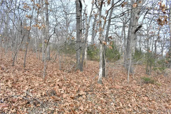 $25,000 | Lot 32 Forrest Hills Dr Lake, Lake Ozark, MO 65049