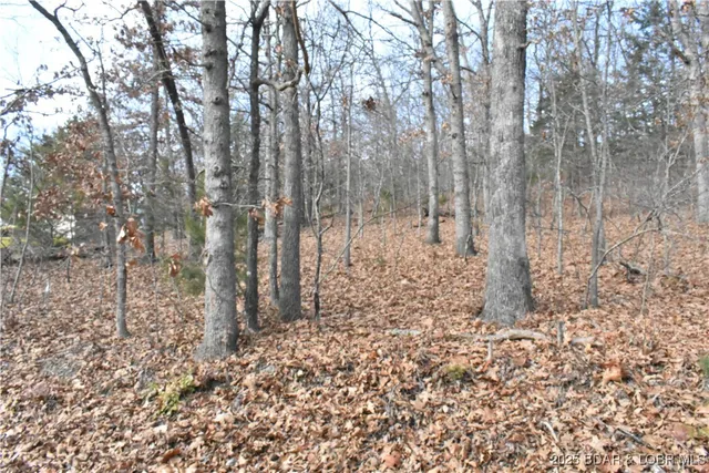 $25,000 | Lot 32 Forrest Hills Dr Lake, Lake Ozark, MO 65049