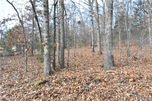 $25,000 | Lot 32 Forrest Hills Dr Lake, Lake Ozark, MO 65049
