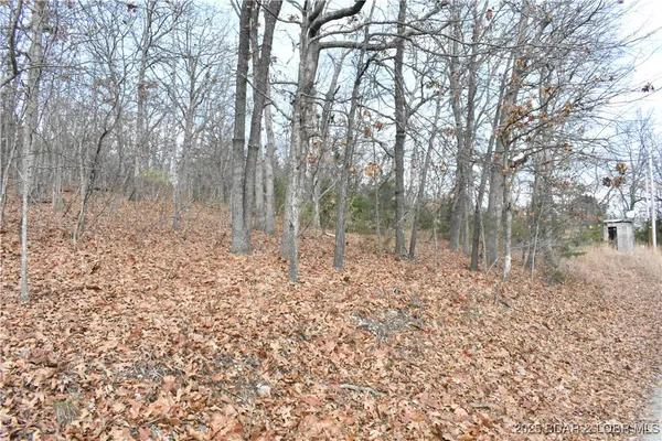 $25,000 | Lot 32 Forrest Hills Dr Lake, Lake Ozark, MO 65049