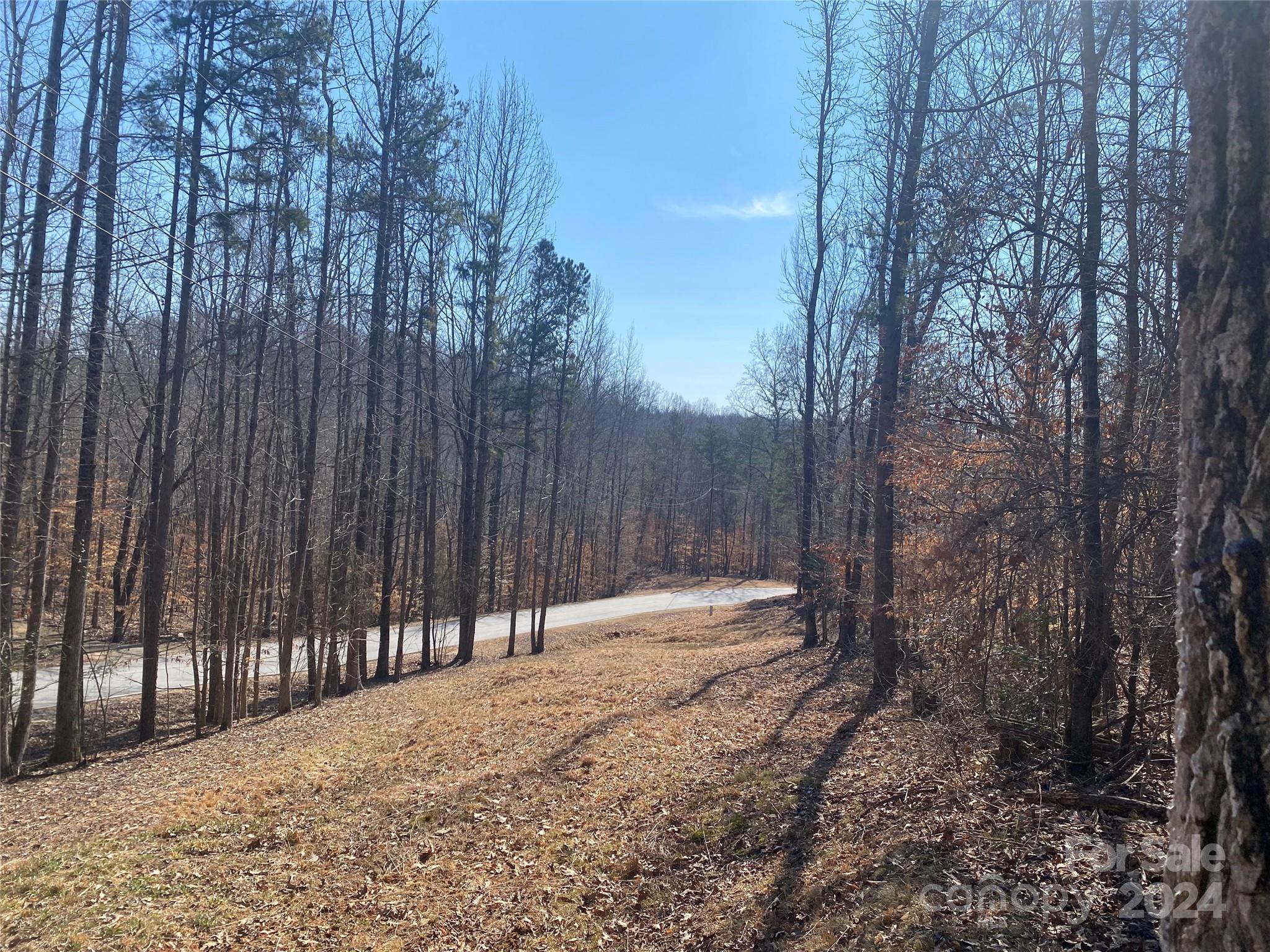 Lot 519 Point Road Westminster, SC 29693 - Photo 3 of 18 Gallery Image 3