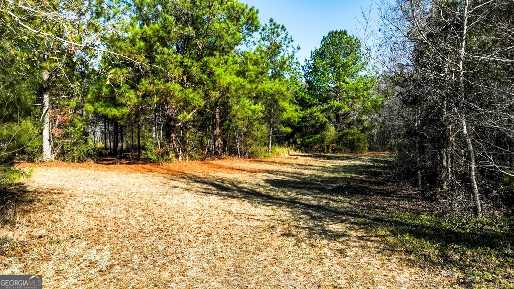 0 Crooked Road, Unit TRACT 1 Millen, GA 30442 - Photo 25 of 33