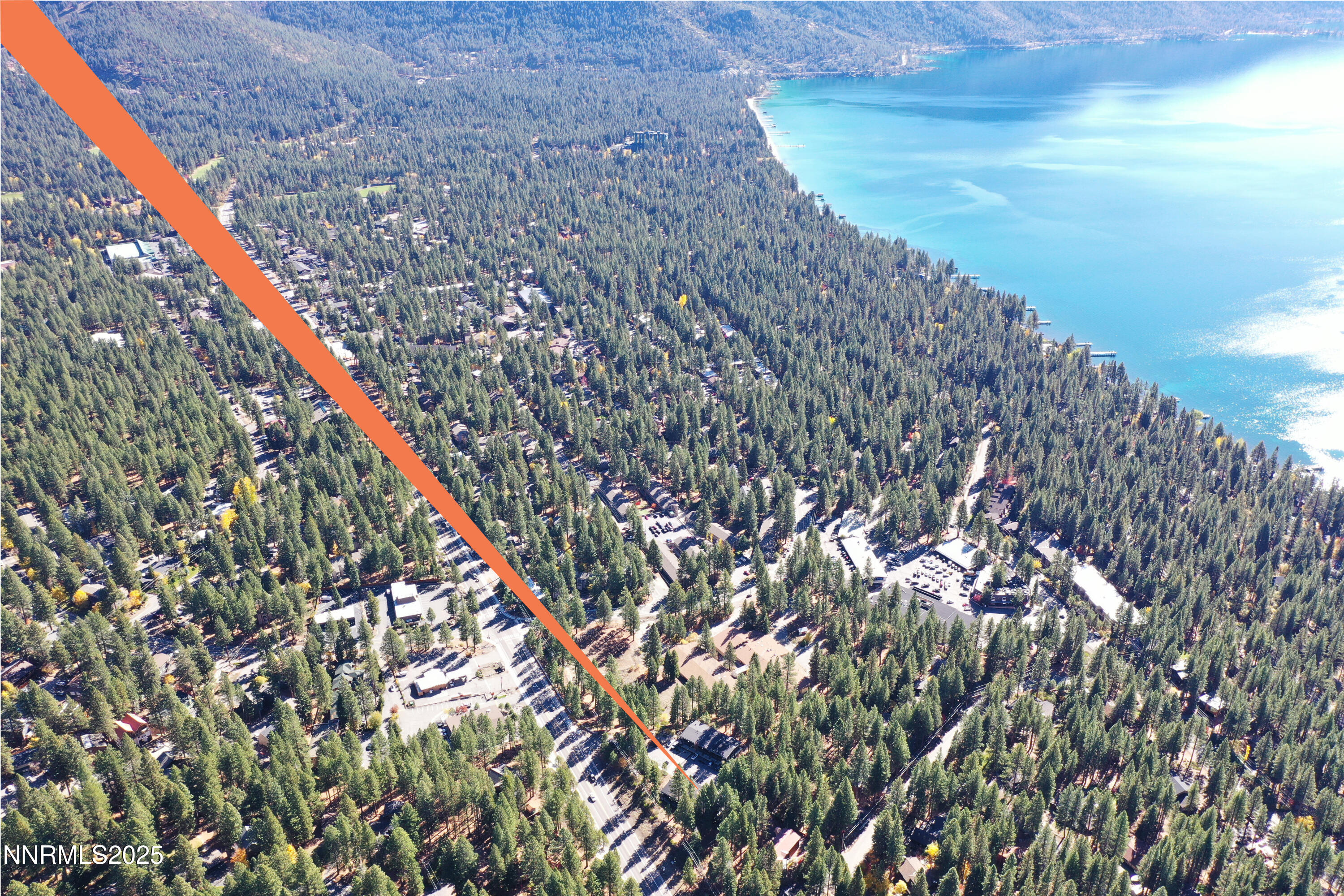 751 Tahoe Boulevard, Unit 21 Incline Village, NV 89451 - Photo 16 of 23 a close up of a tree