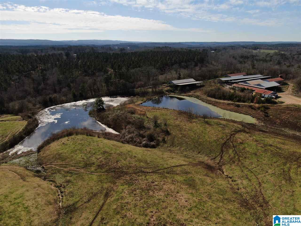 79 Highway 79 Cleveland, AL 35049 - Photo 6 of 36