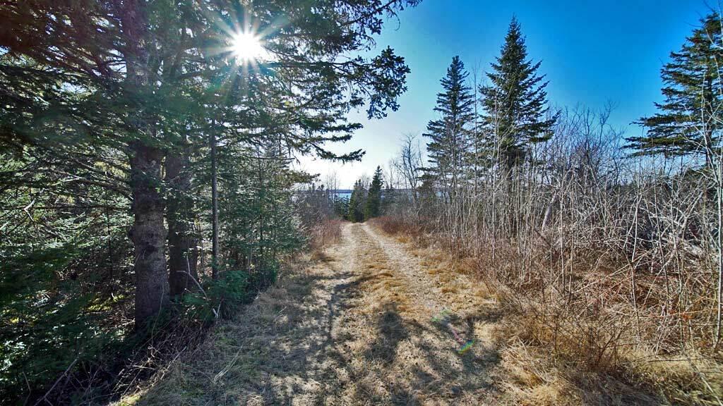 109 Little Machias Road Cutler, ME 04626 - Photo 53 of 93 cutler-me-log-home-38