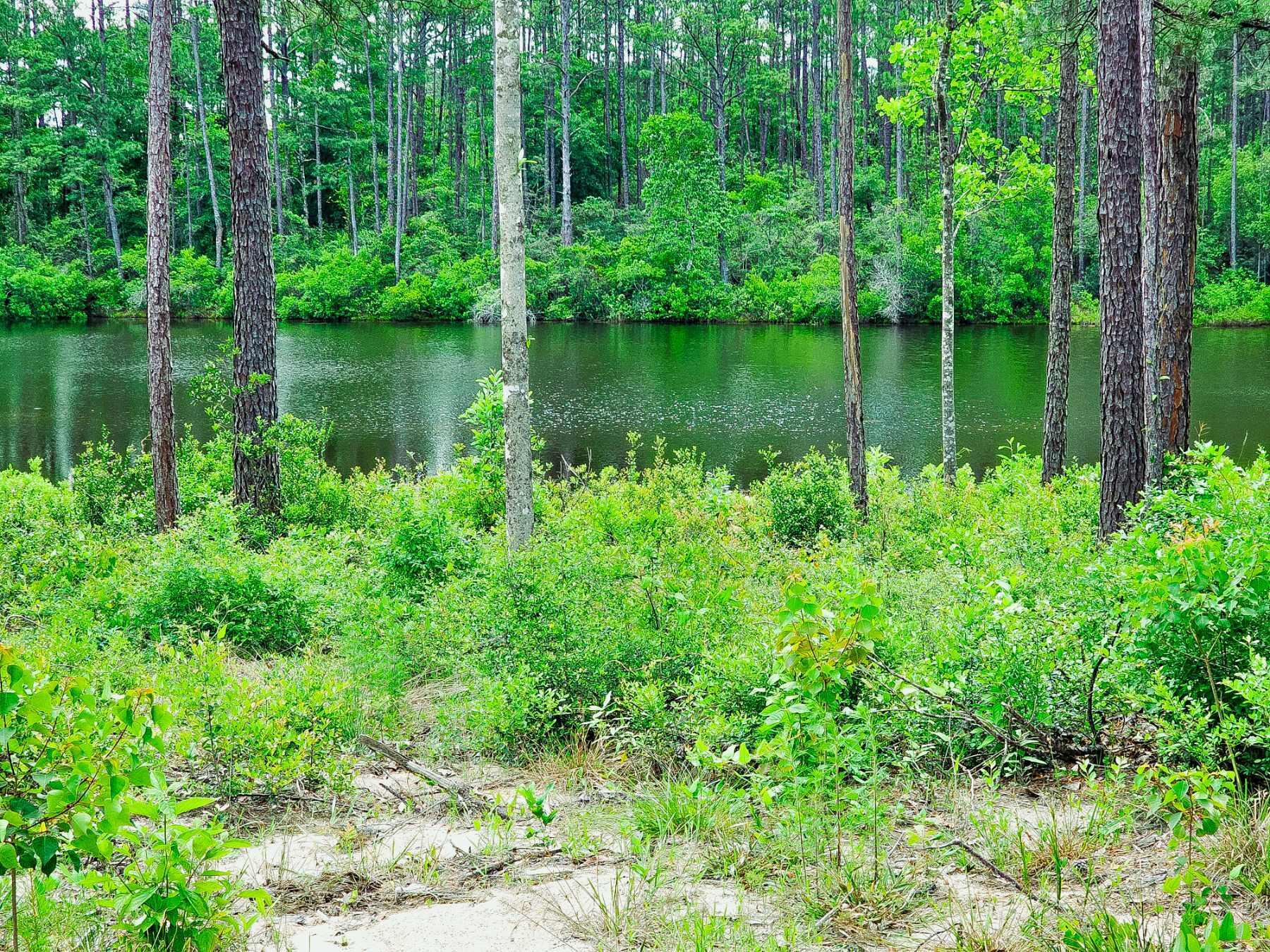 Lot 18 Quail Ridge Road DeFuniak Springs, FL 32435 - Photo 2 of 7 a view of a lake with a house in the background