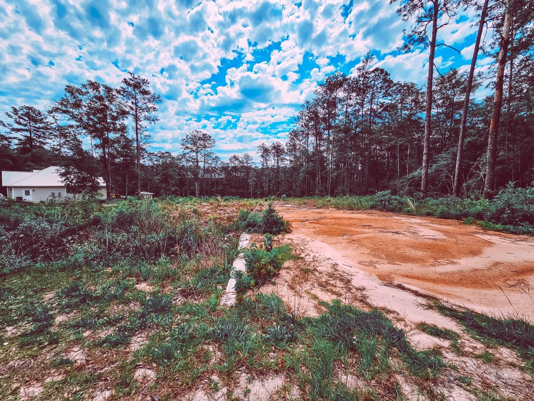 Lot 18 Quail Ridge Road DeFuniak Springs, FL 32435 - Photo 5 of 7 a backyard of a house with lots of green space
