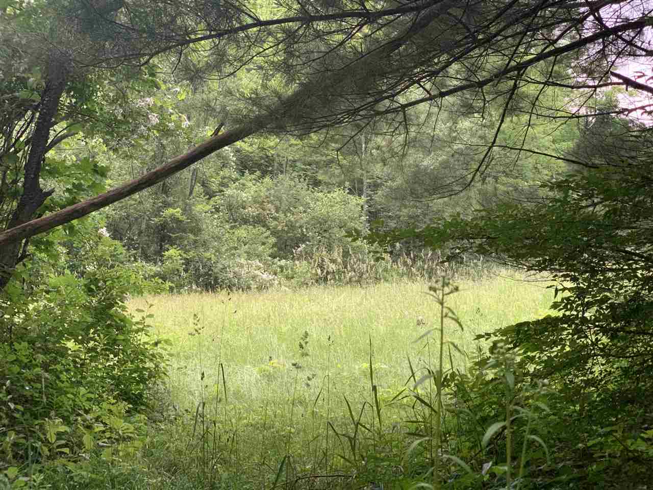 19 Flagg Road Hollis, NH 03049 - Photo 7 of 7