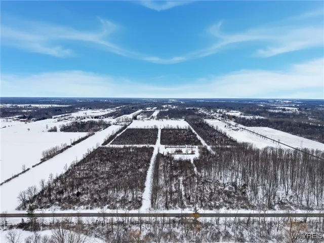 $450,000 | 6480 Ditch Road, Royalton, NY 14001