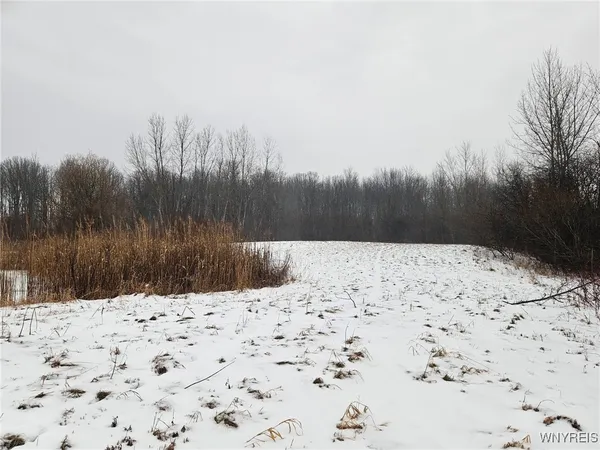 $399,000 | 6480 Ditch Road, Royalton, NY 14001